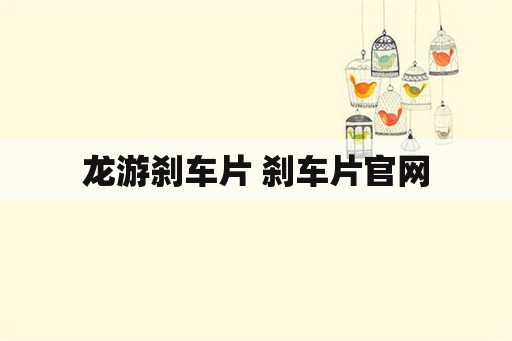 龙游刹车片 刹车片官网