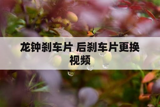 龙钟刹车片 后刹车片更换视频