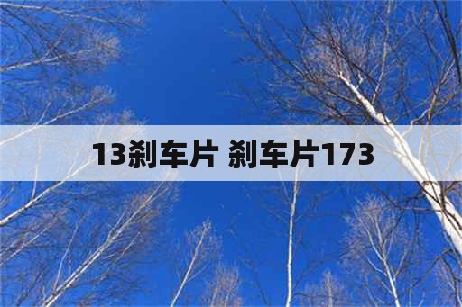 13刹车片 刹车片173