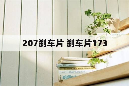 207刹车片 刹车片173