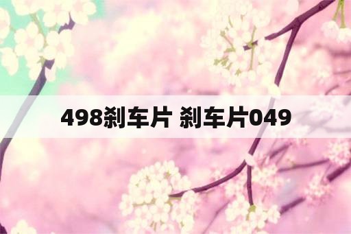 498刹车片 刹车片049