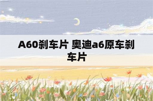 A60刹车片 奥迪a6原车刹车片