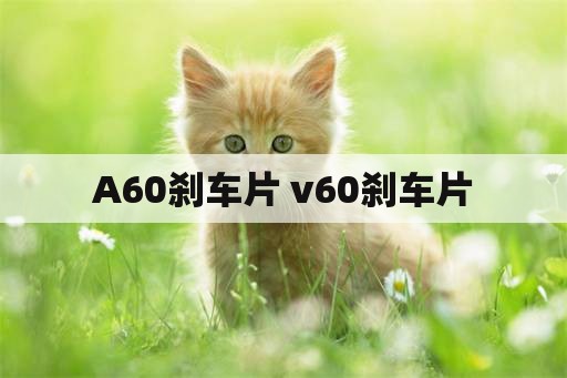 A60刹车片 v60刹车片