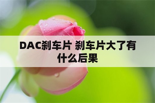 DAC刹车片 刹车片大了有什么后果