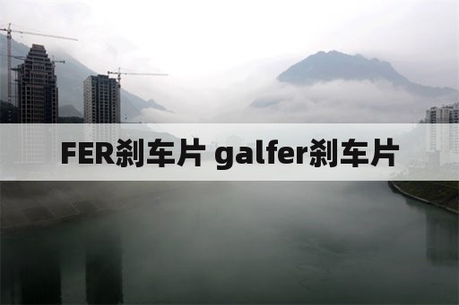 FER刹车片 galfer刹车片