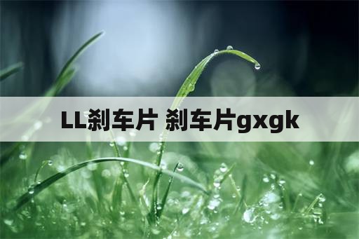 LL刹车片 刹车片gxgk