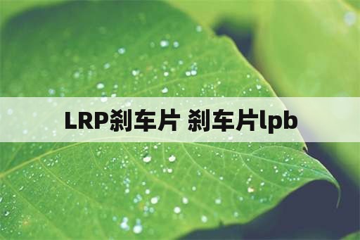 LRP刹车片 刹车片lpb