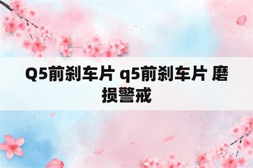 Q5前刹车片 q5前刹车片 磨损警戒