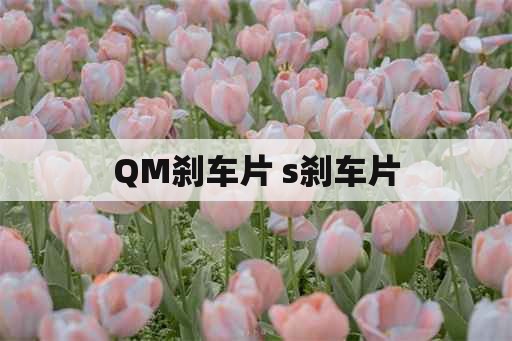 QM刹车片 s刹车片