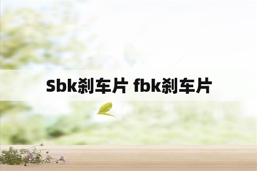 Sbk刹车片 fbk刹车片