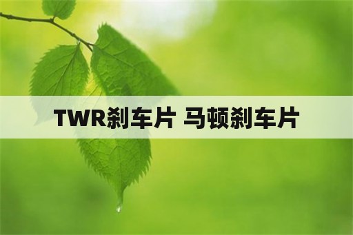 TWR刹车片 马顿刹车片