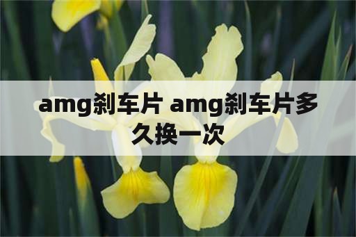 amg刹车片 amg刹车片多久换一次