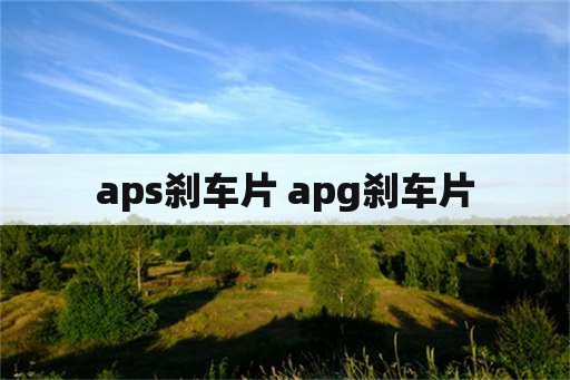 aps刹车片 apg刹车片