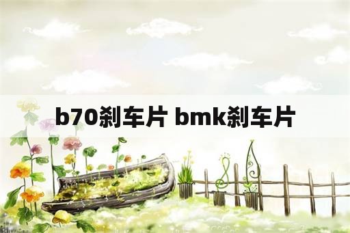 b70刹车片 bmk刹车片