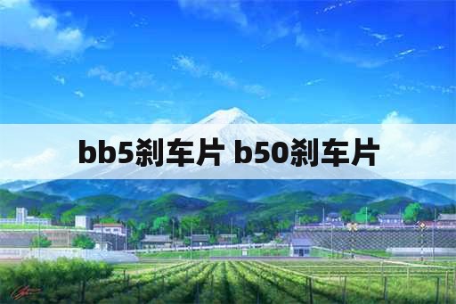 bb5刹车片 b50刹车片