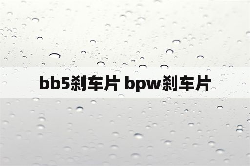 bb5刹车片 bpw刹车片