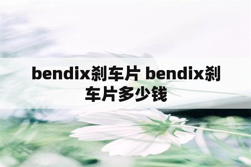 bendix刹车片 bendix刹车片多少钱