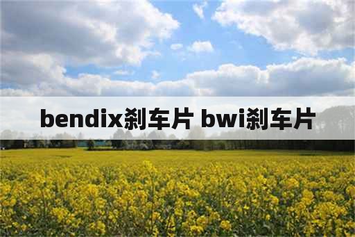 bendix刹车片 bwi刹车片