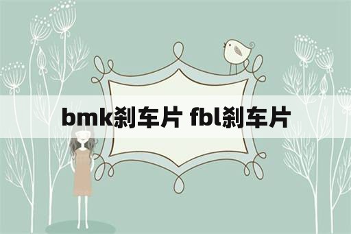 bmk刹车片 fbl刹车片