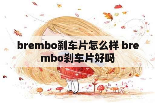 brembo刹车片怎么样 brembo刹车片好吗