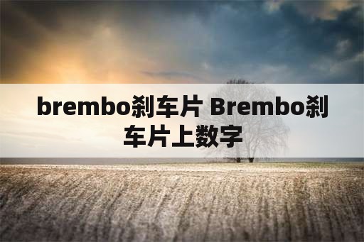 brembo刹车片 Brembo刹车片上数字