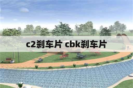 c2刹车片 cbk刹车片