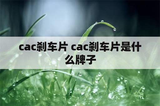 cac刹车片 cac刹车片是什么牌子