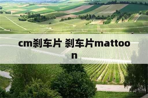 cm刹车片 刹车片mattoon