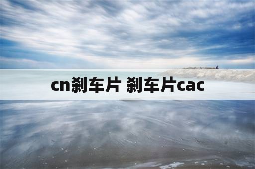 cn刹车片 刹车片cac