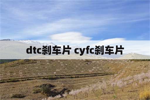 dtc刹车片 cyfc刹车片