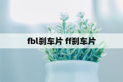 fbl刹车片 ff刹车片