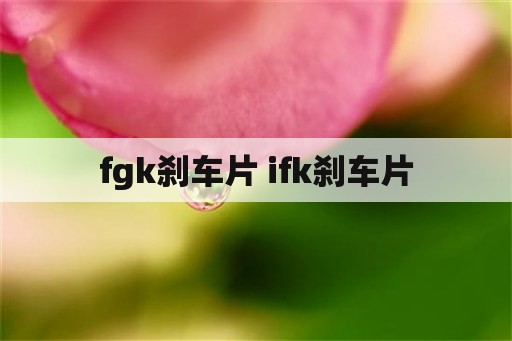 fgk刹车片 ifk刹车片