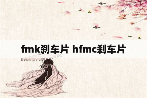 fmk刹车片 hfmc刹车片