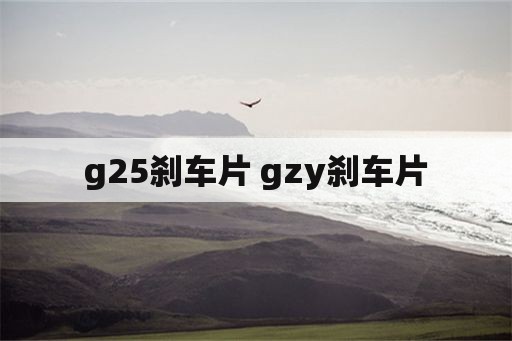 g25刹车片 gzy刹车片