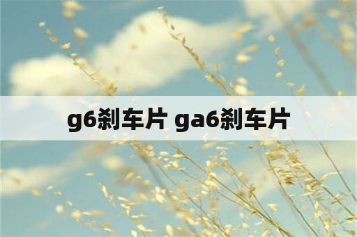 g6刹车片 ga6刹车片