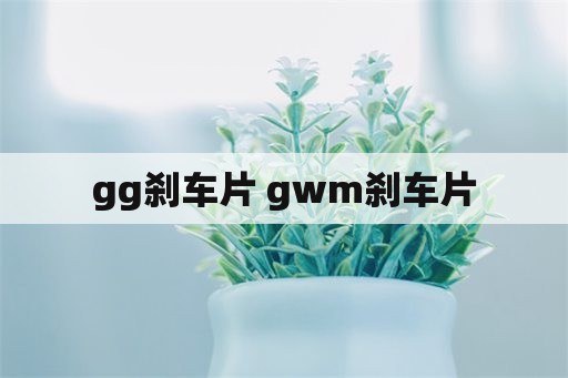 gg刹车片 gwm刹车片