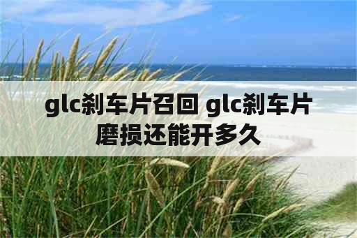 glc刹车片召回 glc刹车片磨损还能开多久