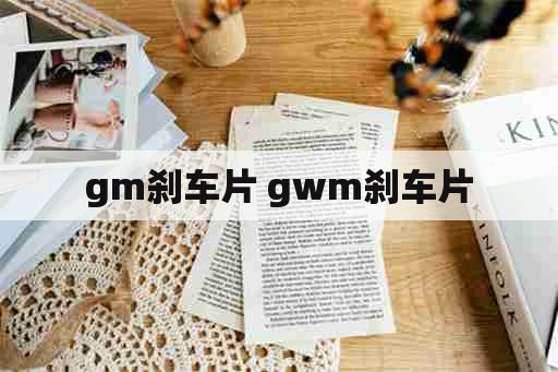 gm刹车片 gwm刹车片