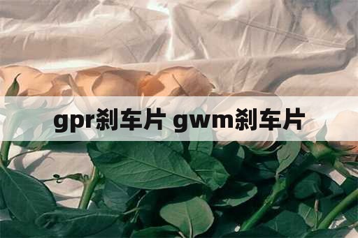 gpr刹车片 gwm刹车片