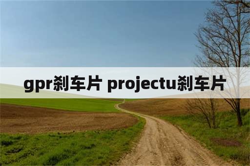 gpr刹车片 projectu刹车片