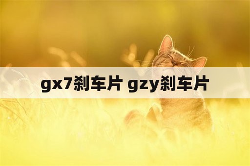 gx7刹车片 gzy刹车片