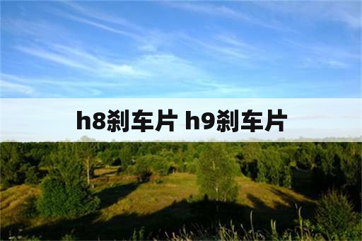 h8刹车片 h9刹车片