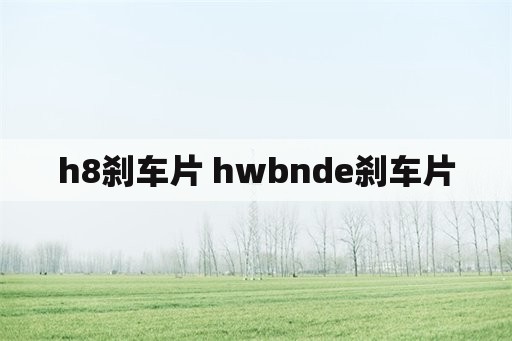 h8刹车片 hwbnde刹车片