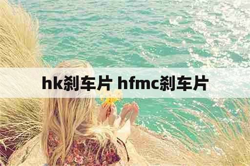 hk刹车片 hfmc刹车片