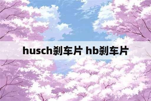 husch刹车片 hb刹车片