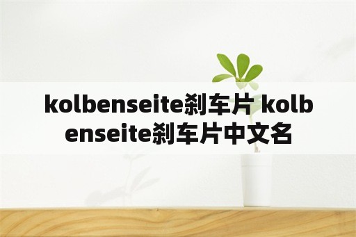 kolbenseite刹车片 kolbenseite刹车片中文名