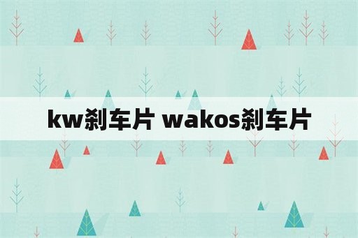 kw刹车片 wakos刹车片