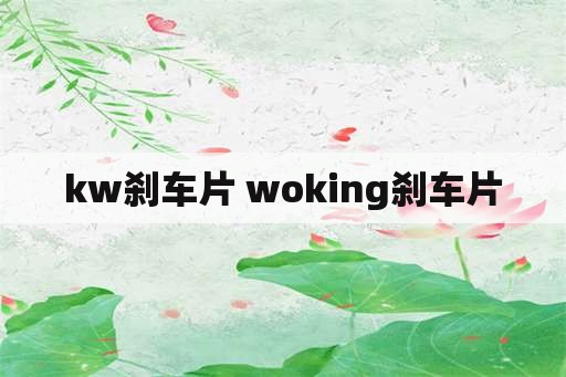 kw刹车片 woking刹车片