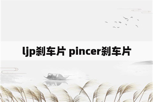 ljp刹车片 pincer刹车片