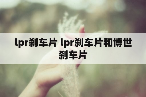 lpr刹车片 lpr刹车片和博世刹车片